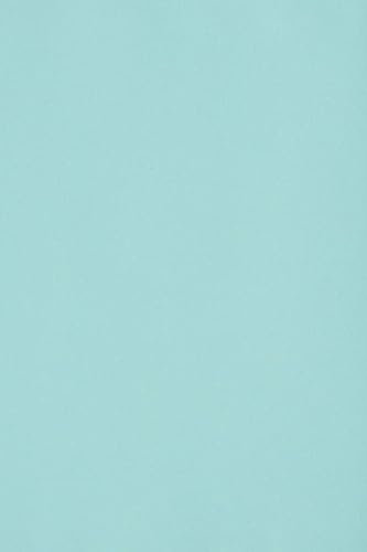 Netuno 10 cartoncini colorati blu chiaro formato A3 297 x 420 mm Burano Azzurro cartoncini stampabili fai da te biglietti da visita augurii bomboniere fogli colorati carta da zucchero