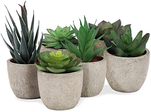 addhome Kunstpflanzen Set | 6 naturgetreue Sukkulenten in fest verklebten Übertöpfen | Pflegeleicht und zeitlos | ideal für Wohnzimmer, Büro etc. | Zuhause verschönern