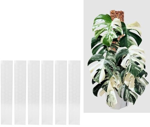 Tnfeeon Postes de Musgo de Plástico de 17 Pulgadas para Plantas Trepadoras Pequeñas y Medianas Monstera, Soporte Apilable para Plantas en Macetas de Interior y Exterior (6PCS)