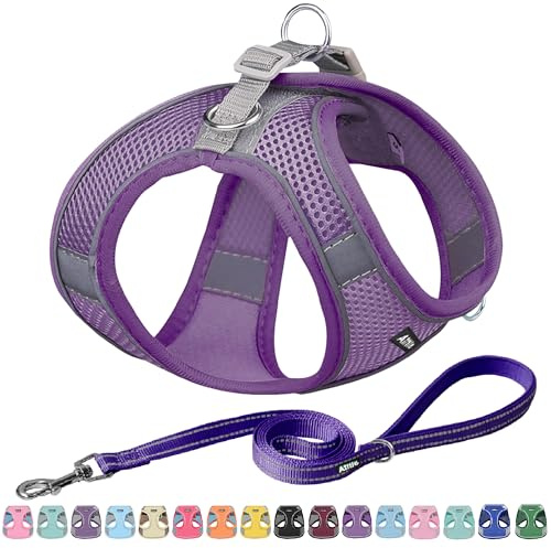 AIITLE Kleines Geschirr für Welpen mit Leine, Reines Lila XXS | Hundewestengeschirr mit super atmungsaktivem Mesh, reflektierendes No-Pull-Geschirr für kleine Hunde, Katzen