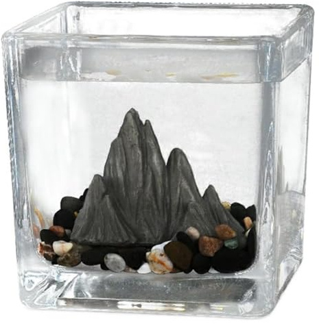 CSYQPDMBDL Kugelaquarium, Goldfischglas, Fischschale Desktop Square Aquarium Büro Kleine Ornamente(Large)