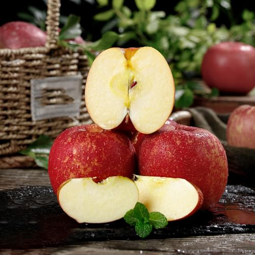 semillas de manzana, Decoración de columna para sala de estar camas elevadas para jardín 300pcs