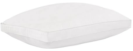 GREATOYAR Almohada de Fibra, Almohada de Sofá o Cama, Tela con Microfibra, Relleno con Fibra Hueca de Alta Recuperación, Mullido Indeformable, Antialérgico, Suave, Hipoalergénicas, 40x70cm, 1 Unidad