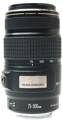 Canon EF 75-300 I.S. USM - Objetivo (75-300 mm, 58 mm, 650 g, Negro)