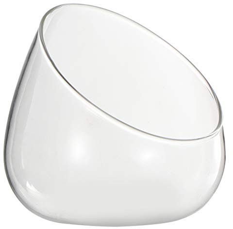 Clear Vase Slant Cut Terrarium Vase for Succulent Plants, Transparent Pant Pot for Home and Office Decoration, Creative Globe Bowl Flower Container for Air Plants and Miniature Moss