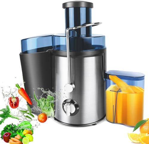 Juicer, Juicer Machines, Whole Fruit and Vegetable Juice Extractor, Centrifugal Juicer, Juice Maker Machines, Stainless Steel Portable Juicer with 3 Speed Control, 500ML Capacity, Silver