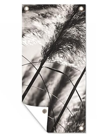 MuchoWow Poster exterieur Herbe de la pampa - Noir - Blanc - Plante Decoration murale 40x80 cm Résistant aux intempéries/soleil