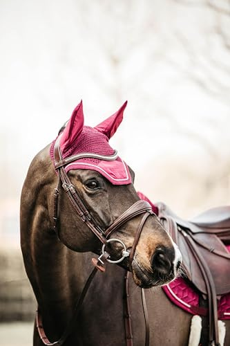 KENTUCKY HORSEWEAR Pferde-Maulmütze Wellington Velvet