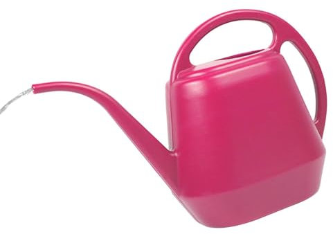 Arrosoir pour D'intérieur avec Bec Long, Arrosoir 4L D'intérieur, Arrosoir pour, Arrosoir De Jardin pour D'intérieur, Succulentes, Fleu De