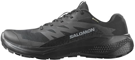 Salomon Herr ALPHAGLIDE Gore-TEX Vandringssko, 49 EU, svart, 49 EU