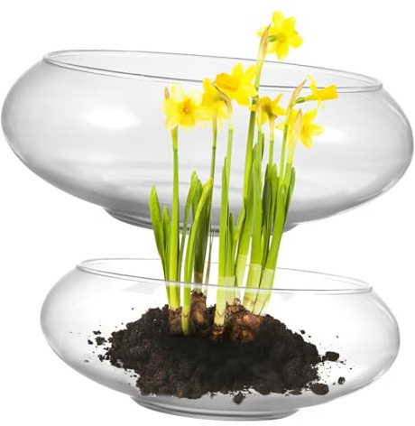 PartyKindom 2 Pièces Bol Verre Rond pour Plantes Aquatiques Vase Terrarium Transparent pour Nénuphars Lot de Bols Déco Centre de Table Décoration Bureau et Maison