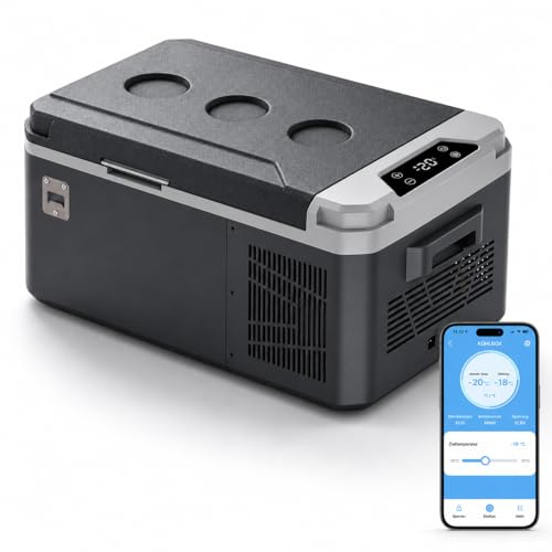 AS 25L Kompressor Kühlbox,12V/24V/230V Kühlbox für Auto und Zuhause, -18°C
