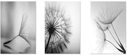 Kiddale Pusteblumen-Wandkunst, Leinwanddruck, Poster, schwarz-weiß, Skizze, Linienzeichnung, ungerahmt, 40,6 x 50,8 cm, 3 Stück