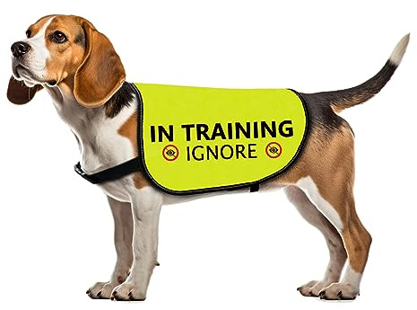 Training Hundejacke Weste Ignorieren Hundeweste Hund Walking Slogan Warnweste (in Training Ignorieren-Large)