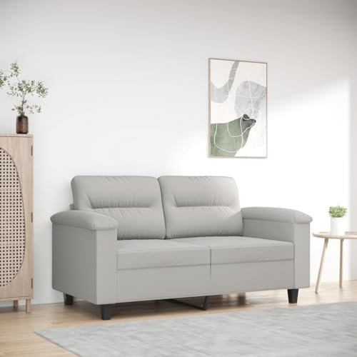 Willood 2-Sitzer Sofa Loungesofa Couch mit Armlehnen Rückenkissen, Wohnzimmersofa Designsofa mit Metallgestell, Sitzmöbel Zweisitzer Hellgrau 120 cm Mikrofasergewebe