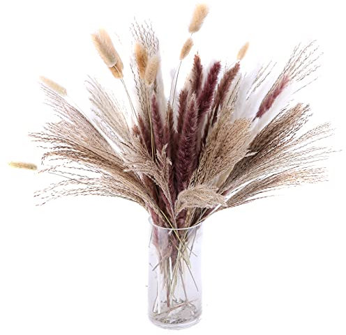 60 Stück Pampasgras Getrocknet Deko, 45cm Kleines Reed Blumenstrauß Flauschige Trockenblumenstrauß Natürliche Hasenschwanzgras Pampasgras Deko für Blumenarrangement Wohnzimmer Küchen Hochzeitsdeko