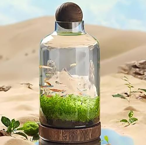 JingNian Aquarium en Verre éCologique pour Micro-Paysage, Bouteille Aqua avec Base en Bois, DéCoration Artistique pour La Maison(Size:c)