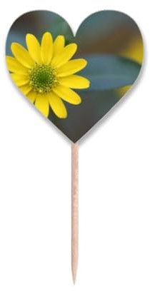 Zahnstocher mit gelben Blumen, grünen Chrysanthemen, Flaggen, Herz-Etikett, Cupcake-Picks
