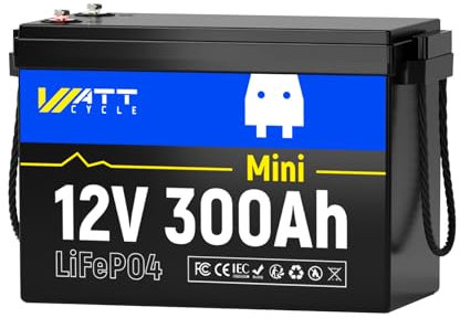 12V 300Ah (280Ah) Batteria al litio LiFePO4 Mini dimensione, BMS 200A integrato, EVE A + Cellule valutate, 15.000 + cicli, Ideale per RV, Batteria auto (12V 300Ah Mini)