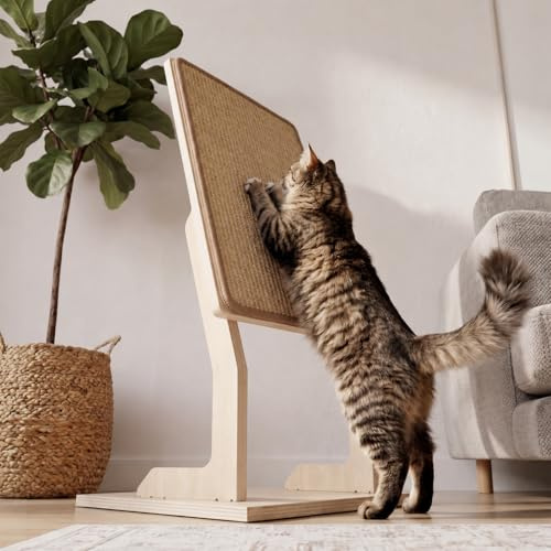 WOOWOOD klösbräda katter Sisal - 68 cm - Golv eller väggmontering - Motståndskraftig klösmatta - Klösmöbel av massivt trä - Kattklösträd alternativ - Klösvägg för katter i hyreslägenhet