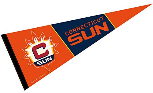 WinCraft Connecticut Sun Pennant Banner Flag