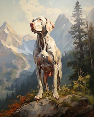 ZMHZMY Digitale Malerei auf Leinwand Weimaraner-Hund steht auf dem Gipfel des Berges DIY Handgemalt Ölgemälde Kits auf Leinwand Geschenk für Weihnachten Geburtstag Home Haus Deko,40x50cm