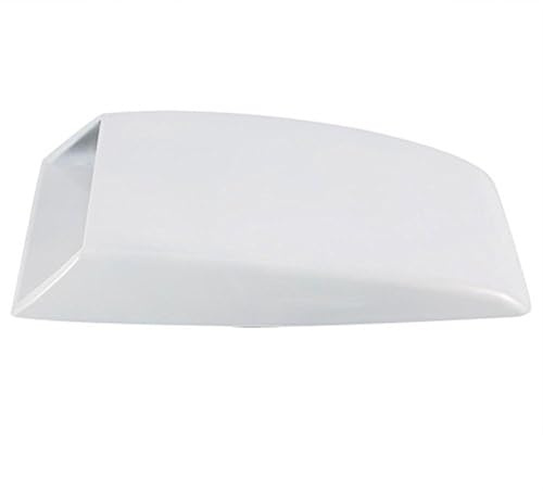 Adesivo decorativo per sfiato per auto, coperchio per cofano, presa d'aria, presa d'aria Tubo Aspirazione Dell'auto