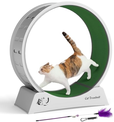 XXL Katzen-Trainingsrad 80 cm für Große Katzen, Flüsterleise Laufrolle mit Abnehmbarem, Kratzfestem Teppich, Stabiler Standfuß & Sicherheitsarretierung, Inkl. Kostenlosem Spielzeug, für Wohnungskatzen