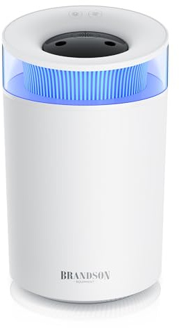 Luftbefeuchter 2,5 Liter leise - 7 LED Farben Stimmungslicht – 2 schaltbare Dampfausgänge – integriertes Aromaöl Fläschchen – 20m² Wohnzimmer Schlafzimmer Kinderzimmer - weiß