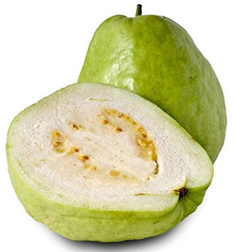 15 douces fraîches Tropical Thai goyave, pomme Graines goyavier, Blanc