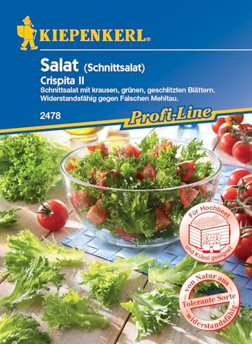 Kiepenkerl Profi-Line Schnittsalatsamen Crispita II 2478 - Raschwüchsig - knackige Blätter - Inhalt für 1-2 qm - Wuchshöhe 5-10cm - Salatpflanzen - Saatgut