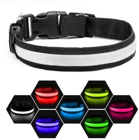 Nepfaivy Leuchthalsband Hund USB Aufladbar - Hundehalsband Leuchtend mit Verstellbarer Länge für Mittelgroße bis Große Hunde, LED Halsband Hund 6 Farbwechsel, M