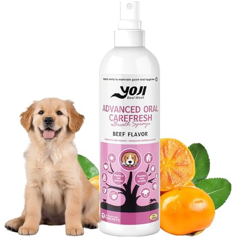 200ml Zahnpflege Spray für Hunde & Katzen,beugt Zahnstein & Mundgeruch,Für frischen Atem,effektive Zahnreinigung,einfach anzuwenden ohne Bürste