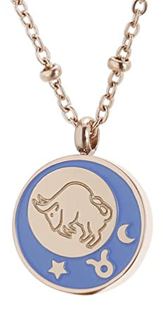 PAMTIER Damen Edelstahl Coin Disc Sternzeichen Halskette 12 Konstellation Sterne Horoskop Anhänger In Roségold Stier
