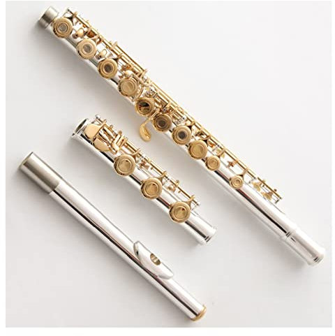 Flöte Musikinstrument Handgeschnitzte Tasten Vergoldung Flöten B-Bein Offene Löcher 17 Goldene Tasten Professionelle Flöte Einsteiger Querflöten