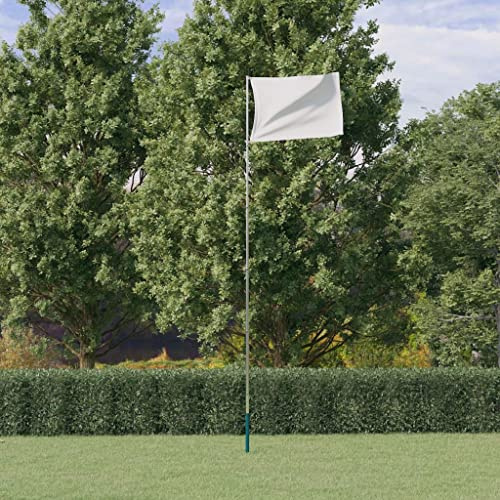 Homgoday Telescopic Flagpole Silver 5.55 m Aluminium Flags & Windsocks Home & Garden