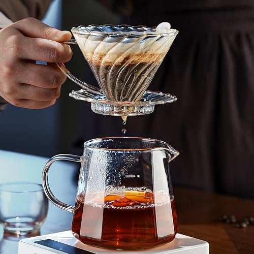 Bincoo Pour Over Coffee Maker Set, V-shape 60° Cone Drip Coffee Maker, Included 16oz Borosilicate Glass Coffee Carafer and Size 02 Coffee Dripper & 50 Pcs Paper Filter (16oz-Clear)