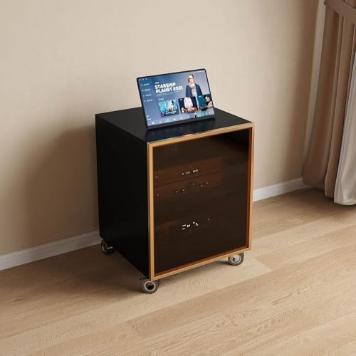 Audio Rack HiFi Regal mit GlasTüren, TV Schrank für Komponenten, Stereo Rack Soundturm mit Rollen, Phonoschrank für Plattenspieler, Audio Video Regal HiFi Rack(Black+Gold,A)