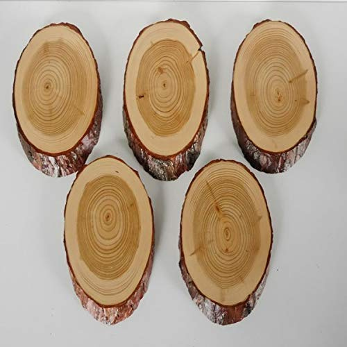 5 Stück Lärche Schilder Trophäenschilder REH Rehbock Geweih Baumscheibe Baumschild Natur Holz modern