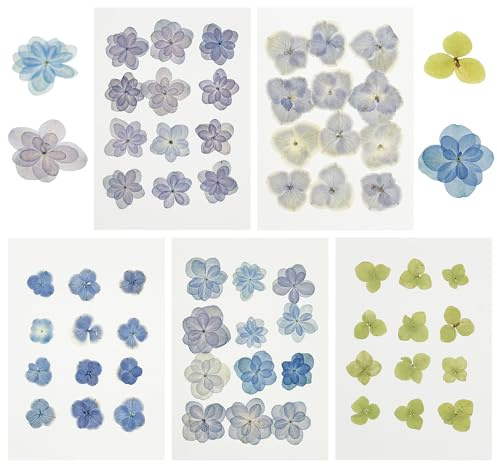 Cayway Fleurs Pressées Séchées, Fleurs Sechees Naturelles pour Scrapbooking Artisanat, Bricolage Art Décorations Florales Décors, 60 Pièces D'hortensias