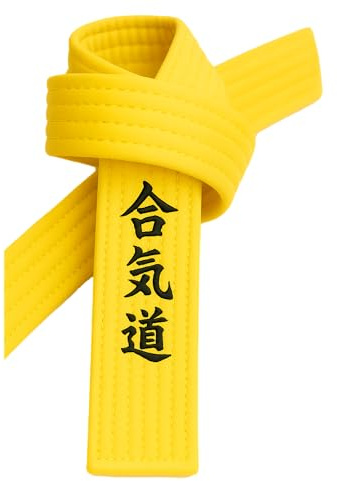 TEKKA BUDO Ceinture d'aïkido jaune brodée - Caractères Aïkido janais - Ceinture jaune avec broderie Kanji, jaune, 280 cm