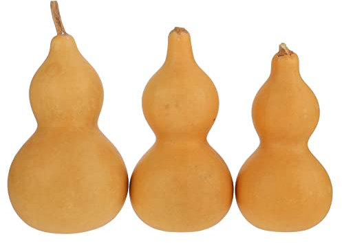 Ciieeo 3pcs Handmade Natural Gourd Decoration Set Dried Gourd Craft Ornaments for Home and Desktop Mini Artisan Decor 9-12cm for Feng Shui and Living Room Embellishment