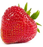 20 Elsanta Erdbeerpflanzen - Frigo Plus Pflanzen - Pflanzzeit: März/April - Ernte: Juni/Juli - Erdbeersetzlinge/Erdbeerstecklinge - Erdbeerprofi.de