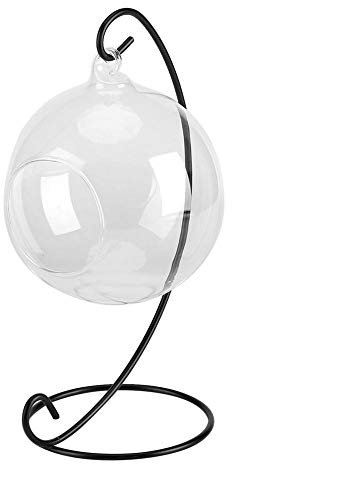 Vikye Hängende Glasvase, Großes Hängevase Terrarium mit Rahmen für Luftpflanzen, echte Pflanzen oder Sukkulenten und getrocknetes Moos