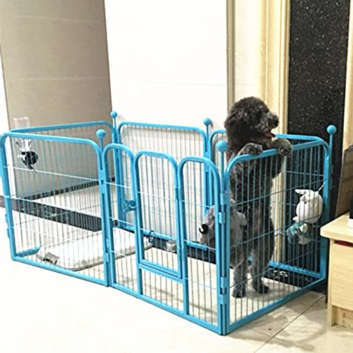 Laufstall für Hunde, Hundelaufstall für kleine Hunde, Faltbarer Welpen-Hundestall, Huntch-Katzenzaun, 6 Felder – höchste 100 cm (blau 160 x 80 x 80, geeignet für 25 kg)