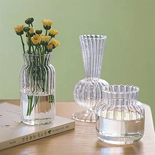 ETZRYSYB Vaso in vetro trasparente per coltura idroponica, piccolo vaso creativo per la composizione dei fiori secchi, decorazione per soggiorno (vaso in vetro S2)