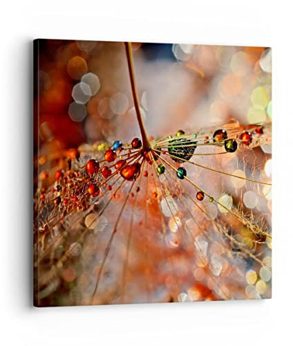 Bilder auf Leinwand Spinnennetz modern Leinwandbild mit Rahmen 30x30cm Wandbilder Dekoration Wohnzimmer Schlafzimmer Küche Deko Klein Wanddeko Bild Wand Kunstdruck Art Wall Decor Canvas AC30x30-3774
