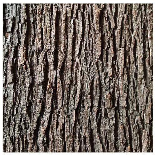 IBOWZ Decorazione di Corteccia, Pannello di Corteccia Impermeabile Realistico – Design scenico e Decorazione Essenziale