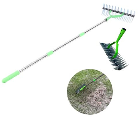 Rastrello Paglia Prato Manico Palo Singolo Testa Dimensioni Pulire Erba Concimare Riseminare Coltivare