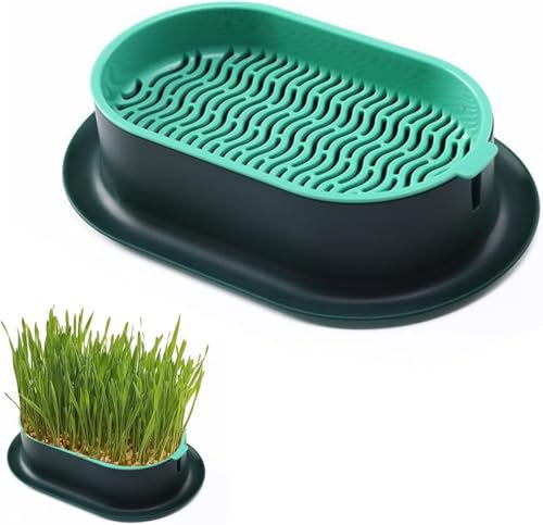Household Cat Grass Planter, Plastic Catnip Cat Grass Box, Catnip Wheatgrass Seed Sprout Tray Nursery Plant Plng Box for Indoor Pet Cats Soill (Green)